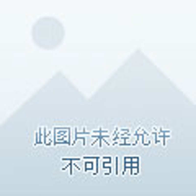 文化数字化